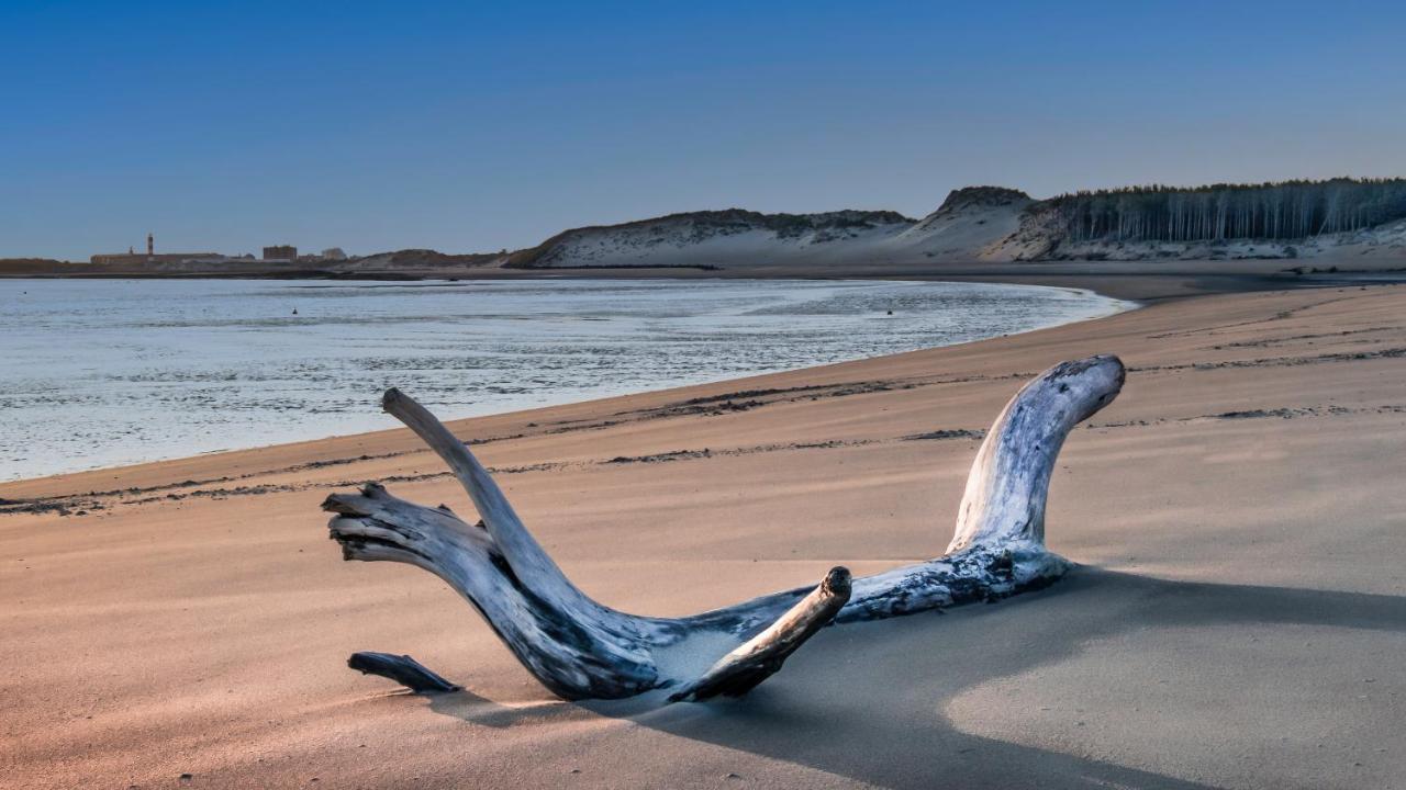 Studio "Les Pieds Dans L'Eau" - 50M Front De Mer Berck Exterior foto